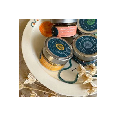 Houmous de carottes pour l'apéritif avec gressin Younau
